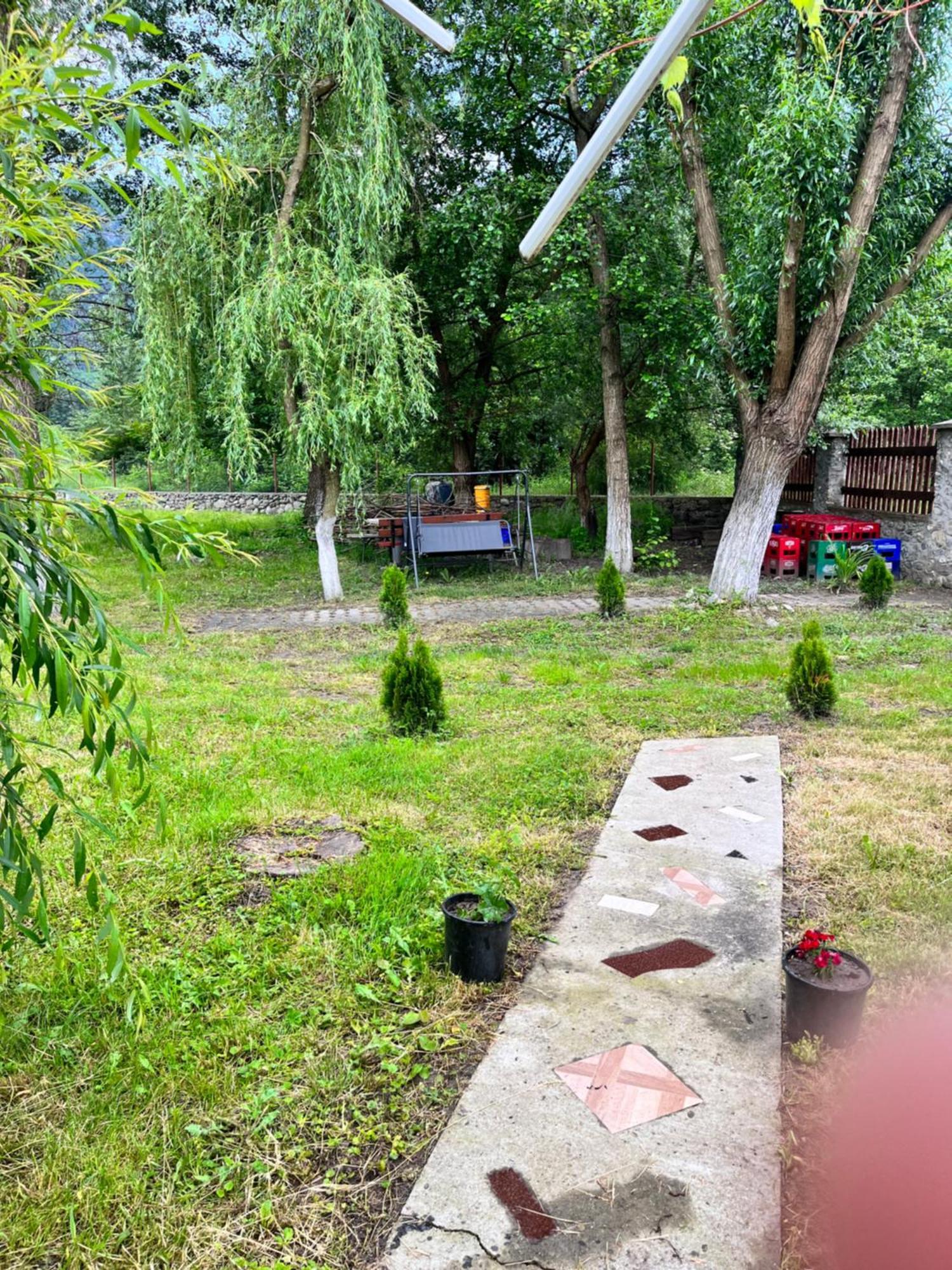La Gradina Hotel Mehadia Exterior photo